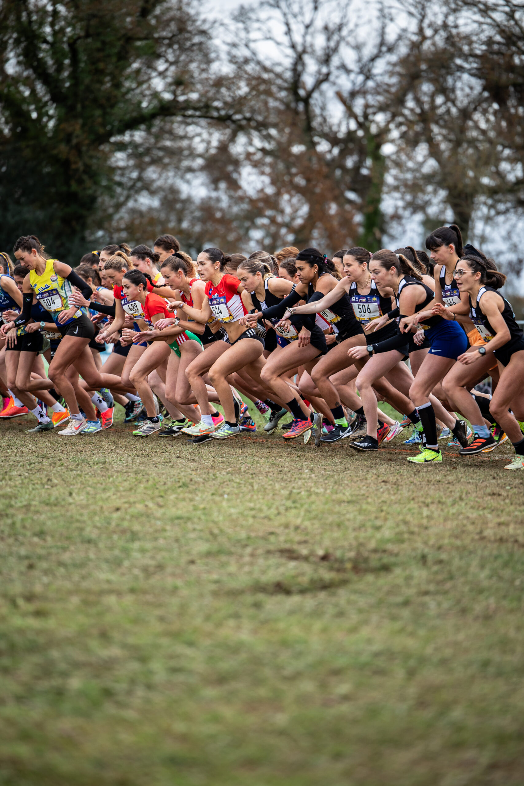 Cross d’Allonnes 2025 : programme, favoris et résultats