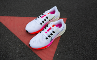 Nike Pegasus