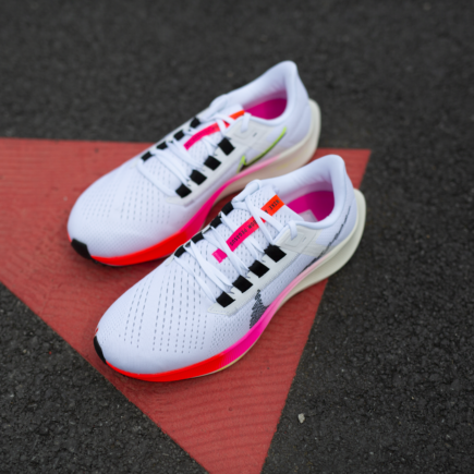Nike Pegasus