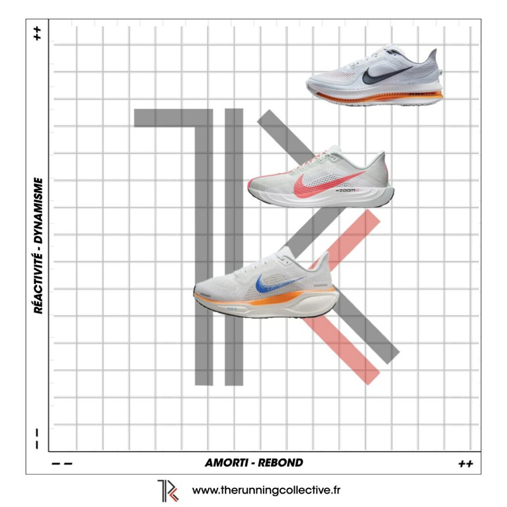 Comparaison Nike Pegasus