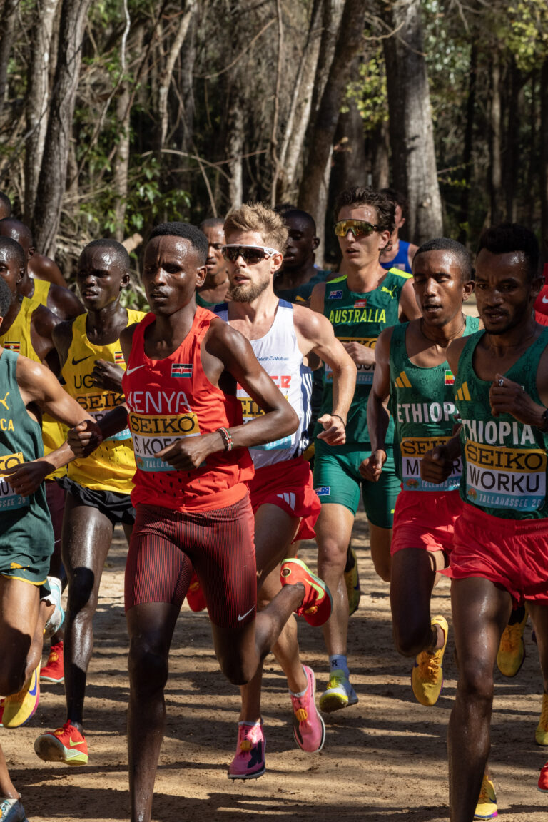 Résultats monde cross country 2026 : classements, podiums et performances françaises