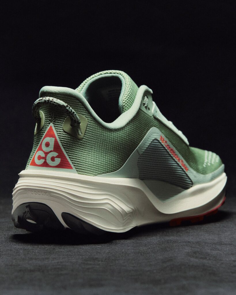 Nike Pegasus Trail ACG