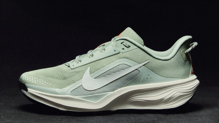 Nike Pegasus ACG Trail
